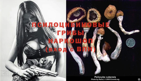 твердый Алексин