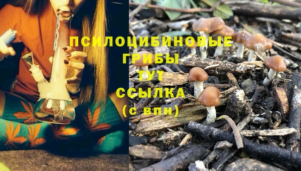 spice Алзамай