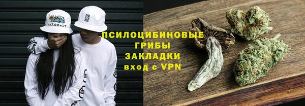 дмт Алексеевка