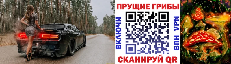 Псилоцибиновые грибы Cubensis  OMG вход  Балашов 